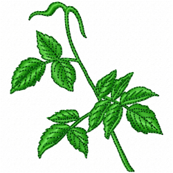 Flowers And Tree Embroidery Design 5